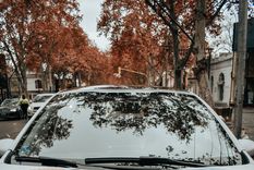 Foto: Joel Almeida/MDZ Femme