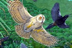 Los seres humanos provocan grandes daños en el mundo. Foto: Dpa.