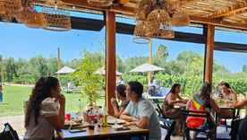 Mendoza presenta una nueva propuesta turística y gastronómica. Mendoza presenta una nueva propuesta turística y gastronómica.