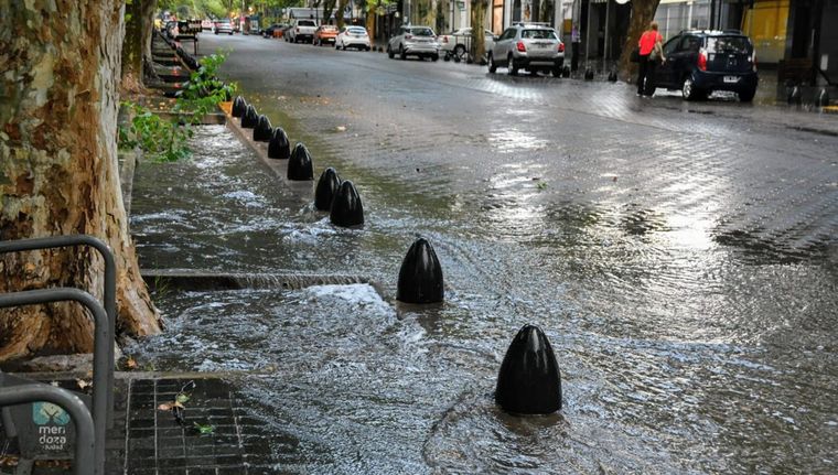 Foto: Alf Ponce Mercado/MDZ