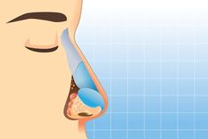 crean una plataforma online para evaluar la perdida del olfato