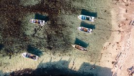 Totoralillo es una de las playas chilenas más buscadas en verano. Foto: Shutterstock