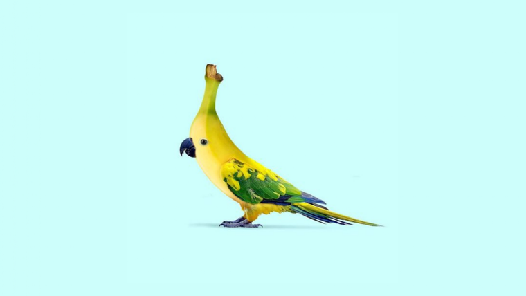 Test de personalidad