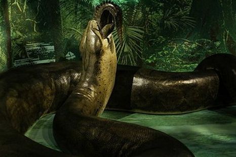 Un sueño que puede ser aterrador. Un sueño que puede ser aterrador.