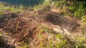 El lugar donde fue hallada enterrada y descuartizada la víctima, expareja del cacique acusado, en Misiones El lugar donde fue hallada enterrada y descuartizada la víctima, expareja del cacique acusado, en Misiones