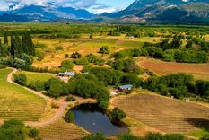 Chubut ofrece un interesante recorrido a través de la ruta del vino con impactantes paisajes patagónicos. Foto: Bodega Nant y Fall