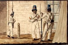 Foto: www.mendoza-conicet.gob.ar