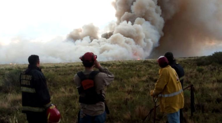 Foto: malargüeadiario.com Foto: malargueadiario.com