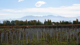 El lunes tendrá cielo parcialmente nublado y temperaturas más frescas en Mendoza. El lunes tendrá cielo parcialmente nublado y temperaturas más frescas en Mendoza.