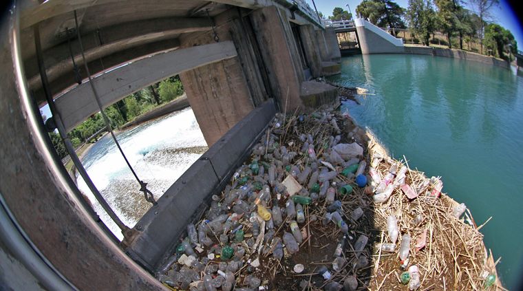 Foto: Pachy Reynoso/MDZ