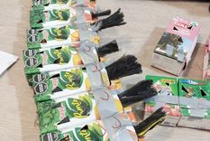 crueldad sin fronteras: intentaron pasar 50 aves a chile en cajas de jugo y 17 murieron