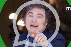 grupo de whatsapp: las ventas de milei frenadas, un carpetazo y la mala educacion