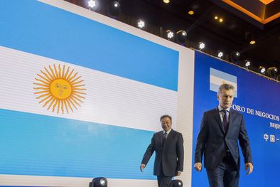 MDZol | Foto: Infobae