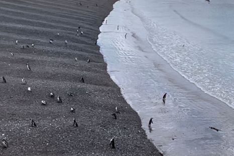 La Patagonia ofrece un amplio abanico de actividades y atractivos naturales