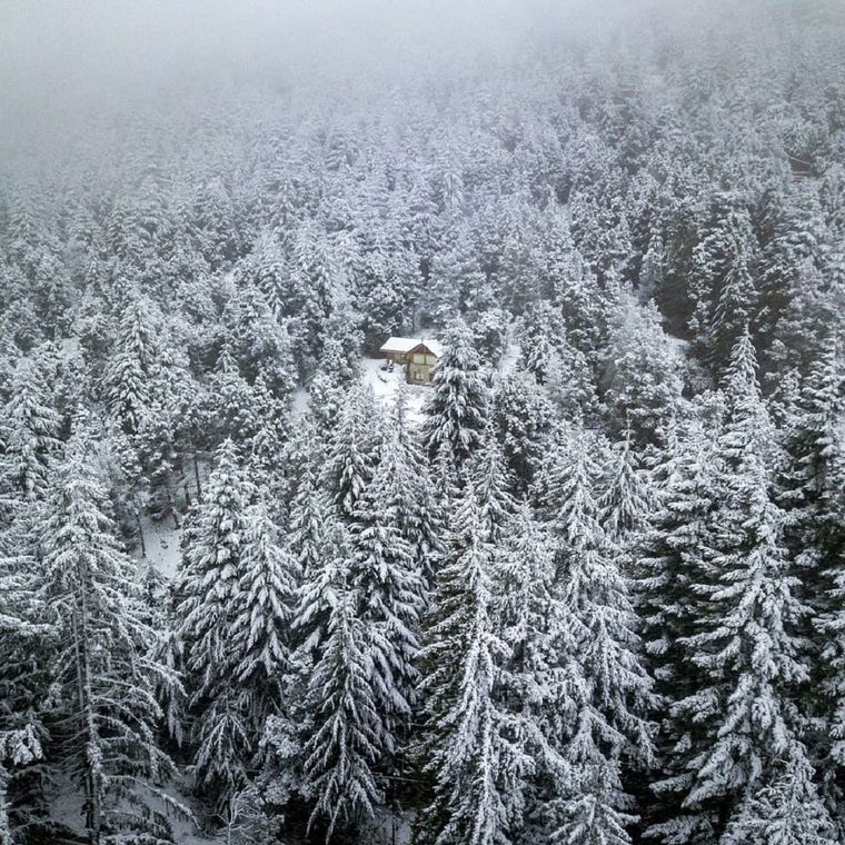 Foto: IG @barilochear