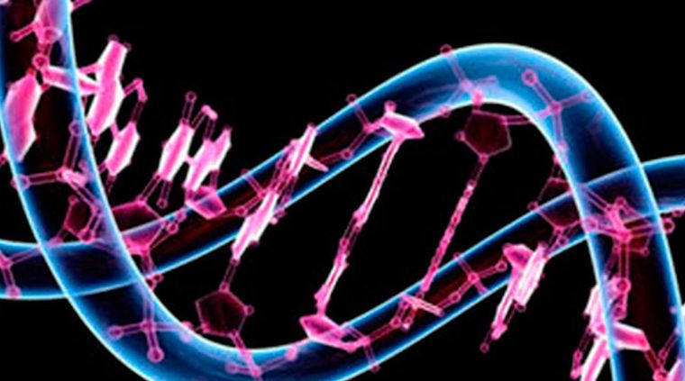 El genoma humano ha podido ser generado en un laboratorio. Foto: Telemadrid.