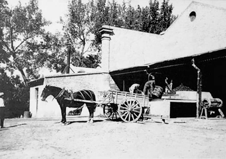 La Enoteca era una bodega a pequeña escala. La Enoteca era una bodega a pequeña escala.
