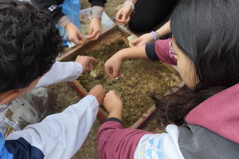 El emprendimiento “Green Boost” se destacó entre más de 270 propuestas en la Rueda de Capitalización de Junior Achievement. El emprendimiento “Green Boost” se destacó entre más de 270 propuestas en la Rueda de Capitalización de Junior Achievement.