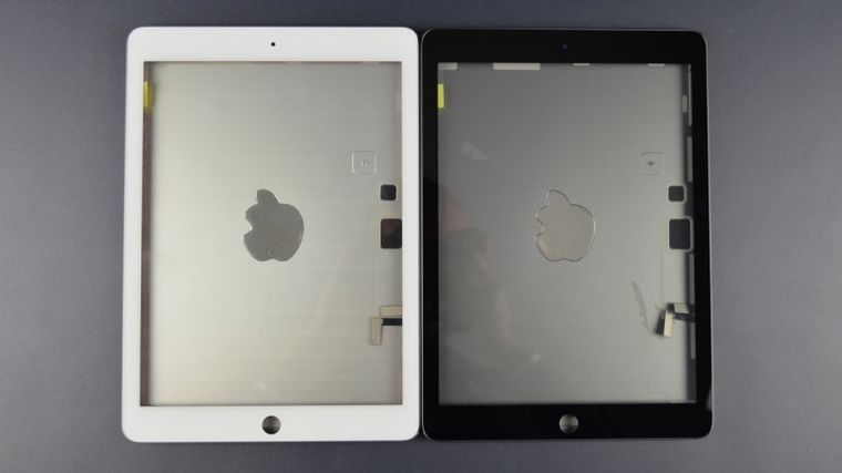 499552.jpg