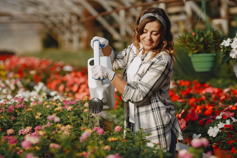 La solución definitiva para eliminar plagas. Foto: Freepik