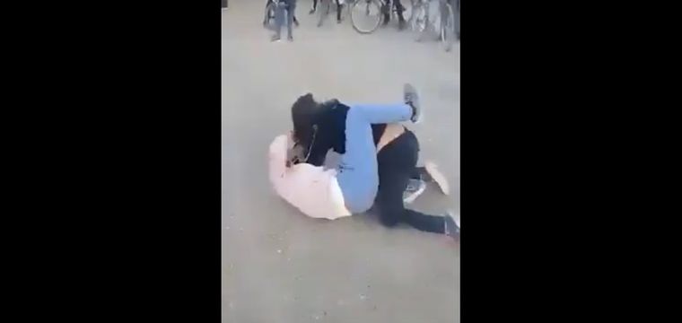 La pelea ocurrió dentro de la escuela Foto: Imagen ilustrativa