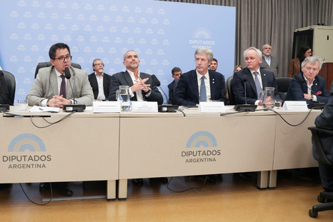 Debate en Diputados por la reforma de la carta orgánica del Banco Central.&nbsp;