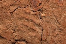 El hallazgo de una huella de mano de 4.000 años de antigüedad ha sido descubierta en una antigua tumba egipcia. Foto DPA