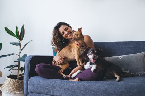 GlocalME lanza un teléfono para mantenerte comunicado con tus mascotas. GlocalME lanza un teléfono para mantenerte comunicado con tus mascotas.