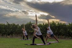 Yoga entre viñedos es una de las experiencias que se le puede regalar a mamá en su día.