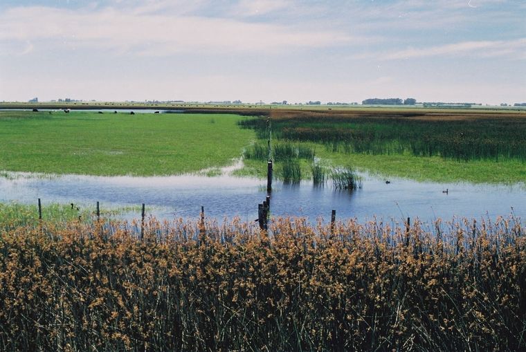 Melincué combina naturaleza, historia y entretenimiento en uno de los humedales más importantes de Santa Fe.