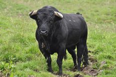 Imagen ilustrativa. Imagen ilustrativa.