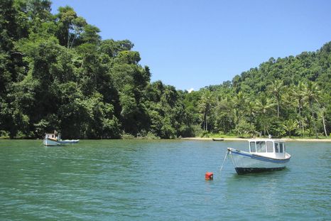 Esta playa de Brasil está siendo tendencias entre los destinos más buscados. Esta playa de Brasil está siendo tendencias entre los destinos más buscados.
