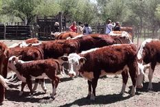 Una imagen cotidiana en la Galileo Vitali. Una imagen cotidiana en la Galileo Vitali.