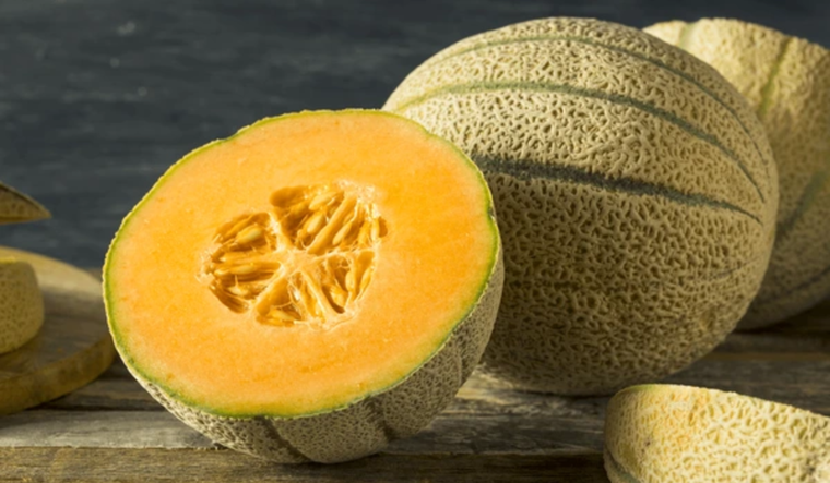 Incluir melón cantalupo en la dieta diaria aporta numerosos beneficios para la salud. Foto: Shutterstock