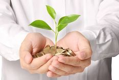 Las mejores plantas para atraer abundancia (Shutterstock).