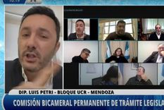 El diputado Luis Petri.