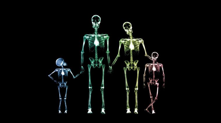 Foto: maxisciences.com