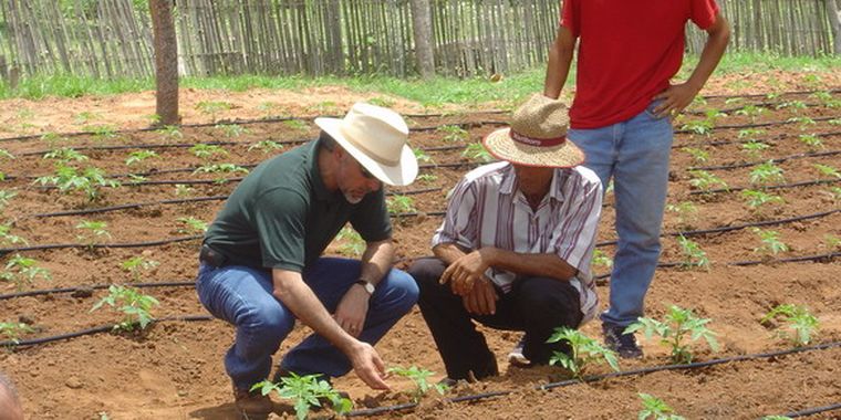Los sectores agroindustriales se verán beneficiados.