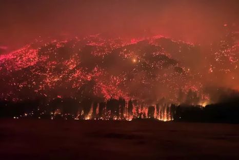 Los incendios en la Patagonia ya arrasaron con más de 4.000 hectáreas.