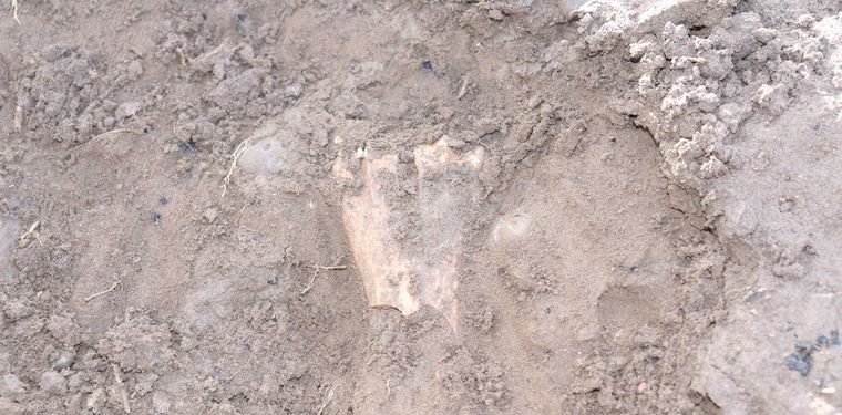 Descubren un tesoro arqueológico de más de 3000 años tras las inundaciones del río Neuquén Foto: Ministerio de las Culturas de Neuquén