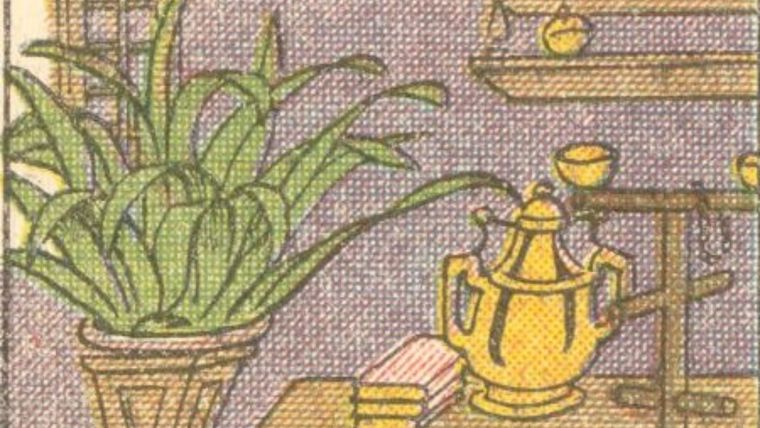 Acertijo visual, reto visual, loro