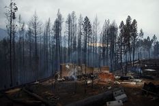 Foto: Marcelo Martinez