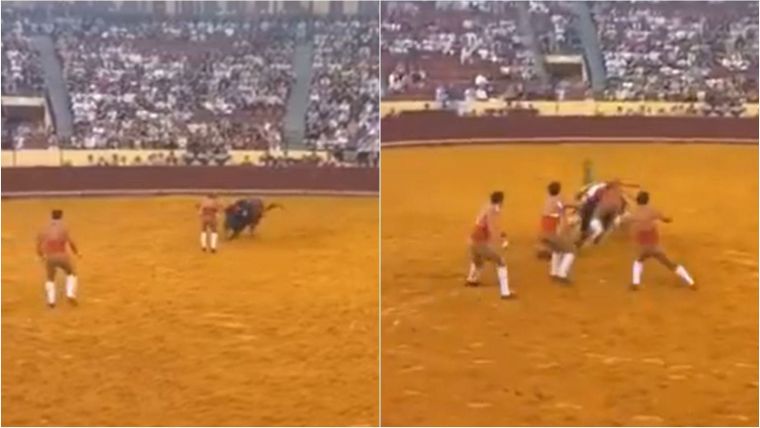 Manuel María Trindade, de 22 años, falleció tras ser embestido por un toro de 685 kilos durante su primera corrida en el histórico recinto de Lisboa.