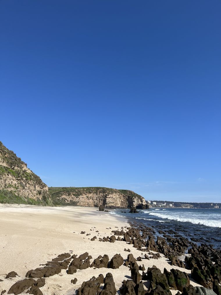 Por su biodiversidad quieren que esta playa sea un reserva natural Foto: Shutterstock