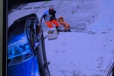 el ruego desesperado de una perra para que no sea abandonada por su dueno