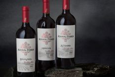 Un vino sorprendente que pone el acento en las fincas