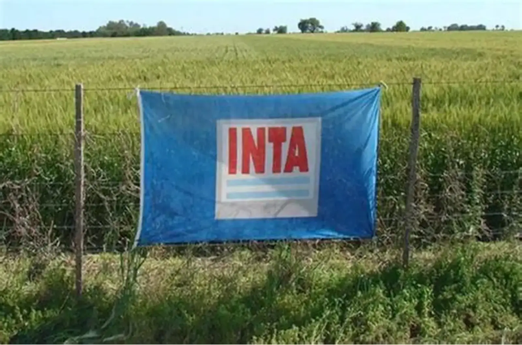 El INTA fue clave en el desarrollo agropecuario contribuyendo al conocimiento y desarrollo de la tecnología.