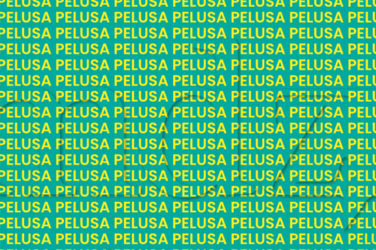 ACERTIJO VISUAL ACERTIJO VISUAL, RETO VISUAL, PALABRA Foto: MDZ ONLINE