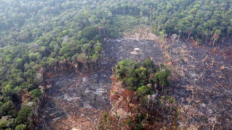 Vista de una parcela deforestada del Amazonas cerca de Humaita, Brasil, 22 de agosto de 2019. Foto: Reuters