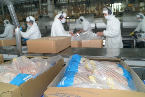 Las prolongadas gestiones para la reapertura del mercado japonés tuvieron éxito y desde este 8 de septiembre se puede exportar nuevamente. Las prolongadas gestiones para la reapertura del mercado japonés tuvieron éxito y desde este 8 de septiembre se puede exportar nuevamente.